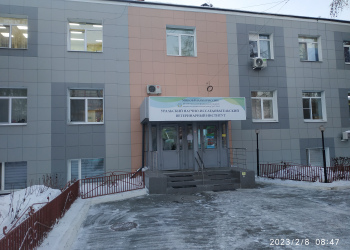 Молекулярно-генетическая диагностика и современная практика: методы ПЦР и секвенирования в ветеринарии.