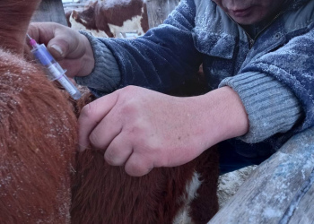 «СПАК Уула»